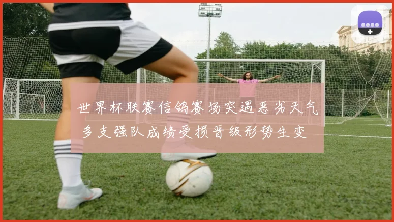 世界杯联赛信鸽赛场突遇恶劣天气 多支强队成绩受损晋级形势生变