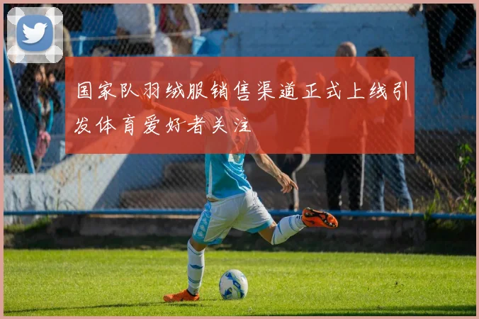 国家队羽绒服销售渠道正式上线引发体育爱好者关注