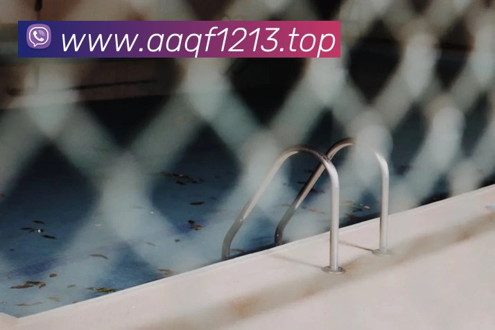 世界杯注册官网服务体系